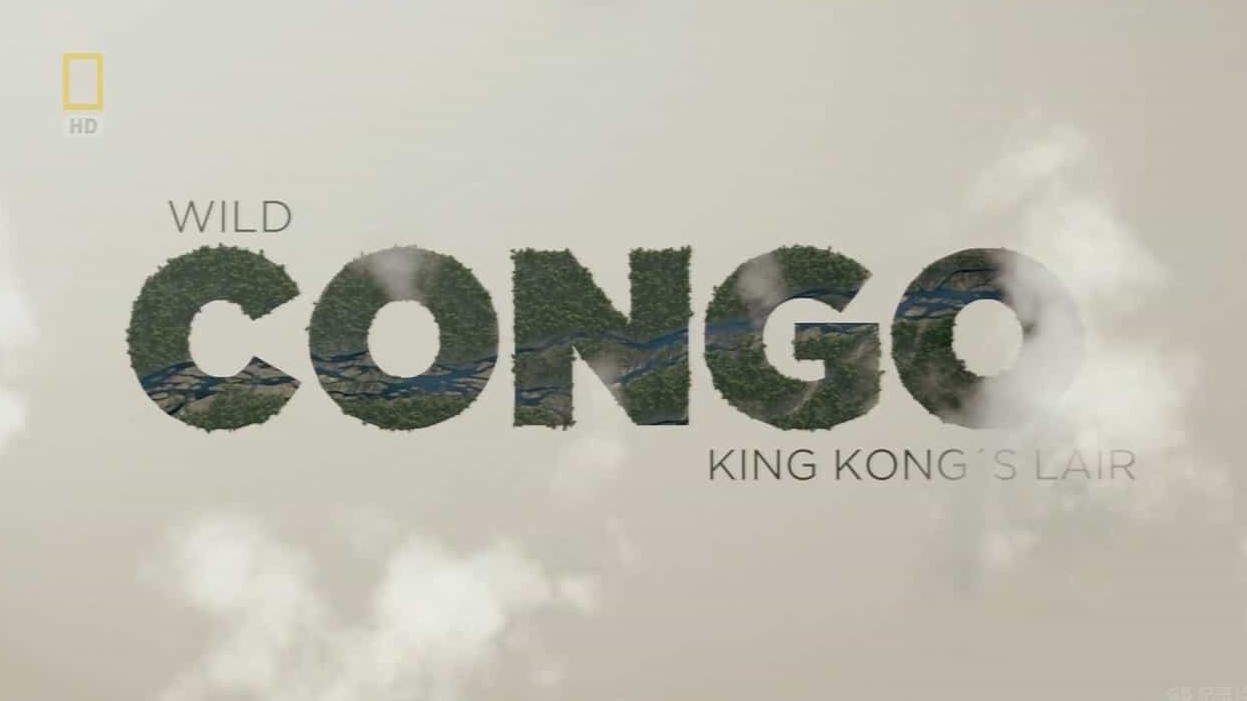 国家地理《刚果：金刚的巢穴 Congo：King Kong