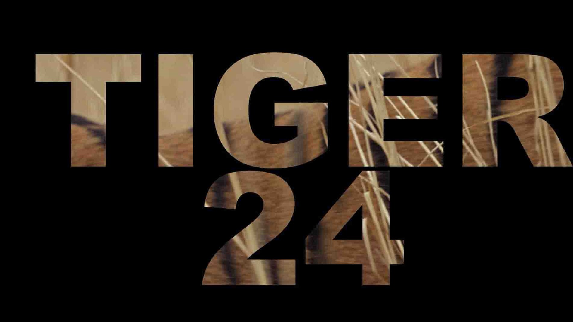 美国纪录片《24号老虎 Tiger 24 2022》全1集 英语中英双字 1080P高清网盘下载