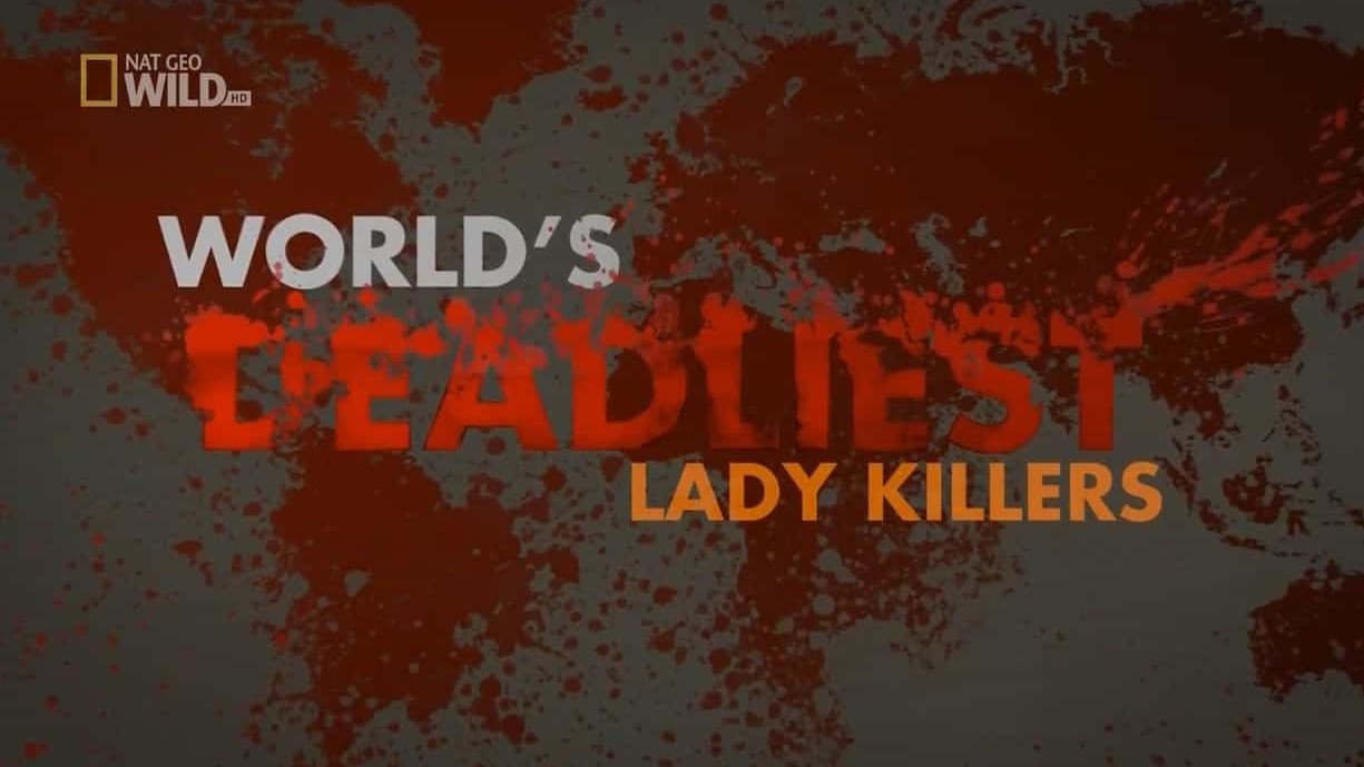 国家地理《世界最致命动物：雌性杀手 World