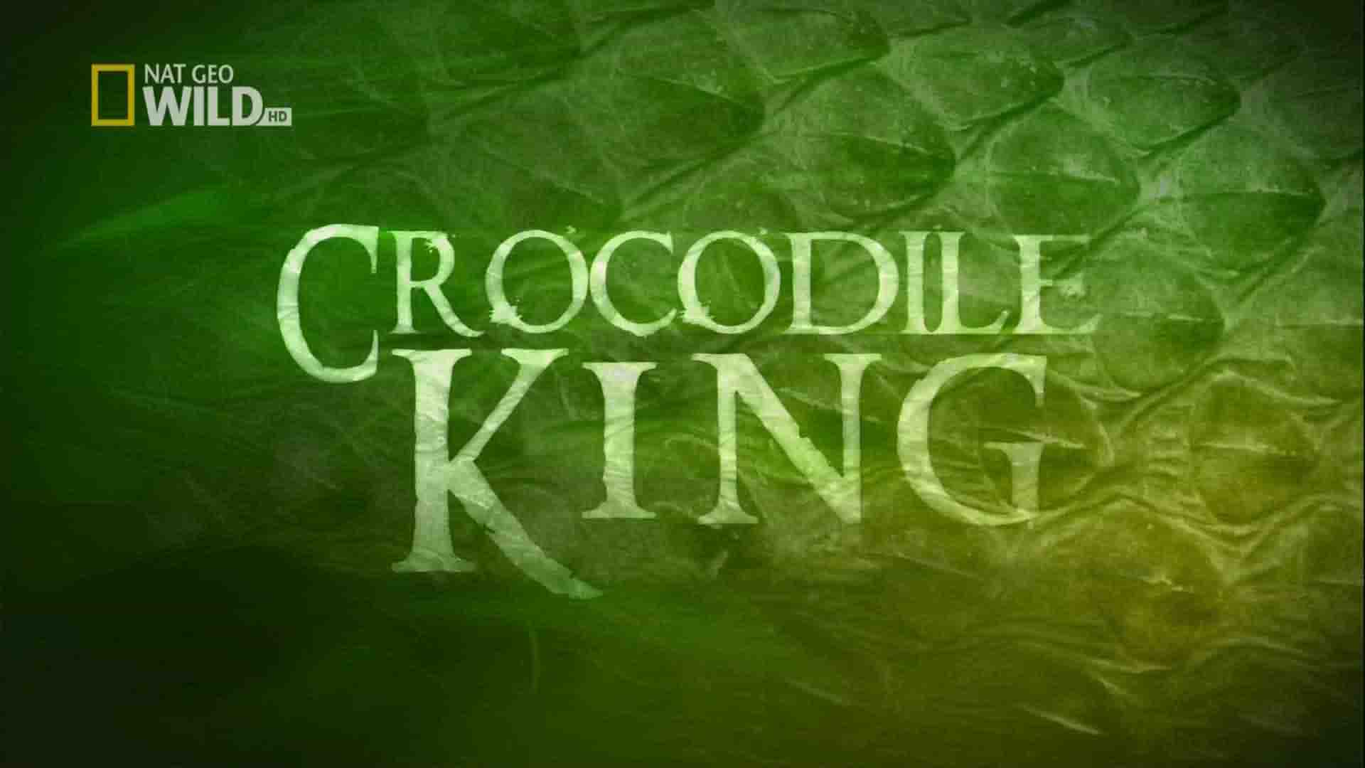 国家地理纪录片《鳄鱼之王 Crocodile King 2009》全1集 英语中字 1080P高清网盘下载