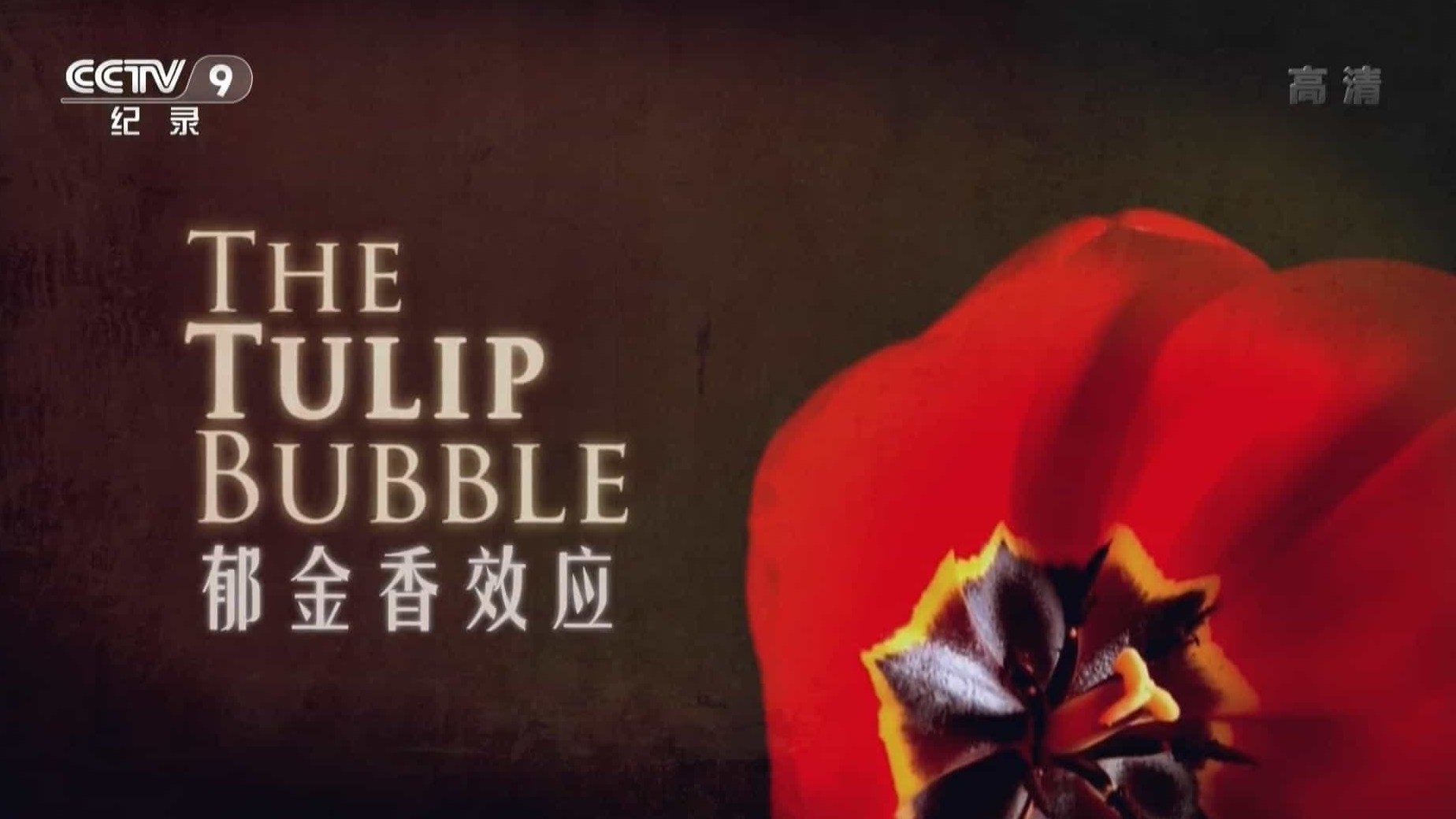 央视纪录片《郁金香效应 The Tulip Bubble》全1集 国语中字 1080P高清网盘下载 