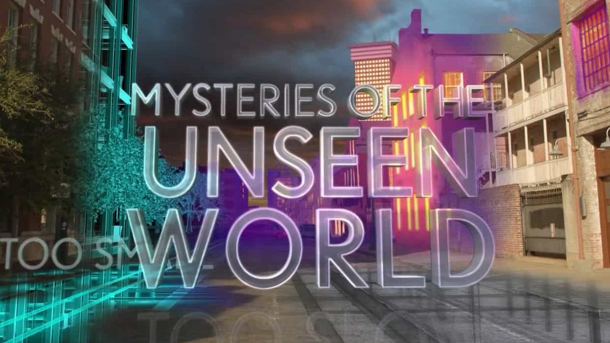 国家地理《肉眼看不到的奇妙世界/未知世界的秘密 Mysteries of the Unseen World 2013》全1集 英语英字 720P高清网盘下载