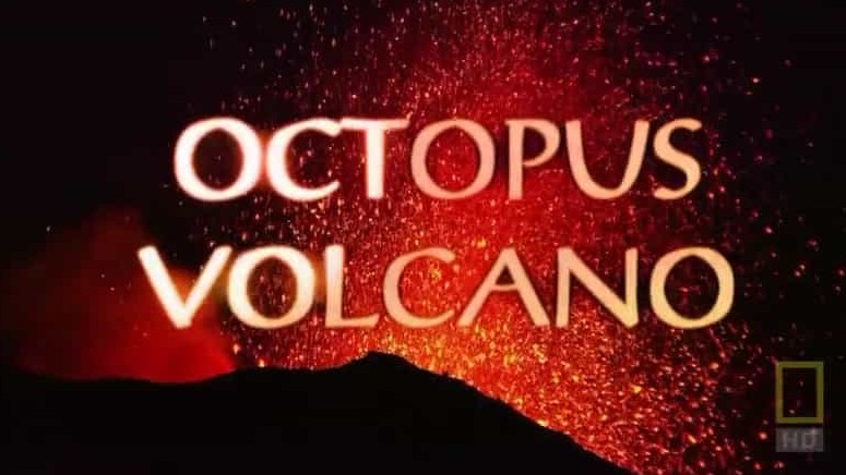 国家地理《章鱼与火山 Octopus Volcano 2009》全1集 英语中字 720p高清网盘下载 
