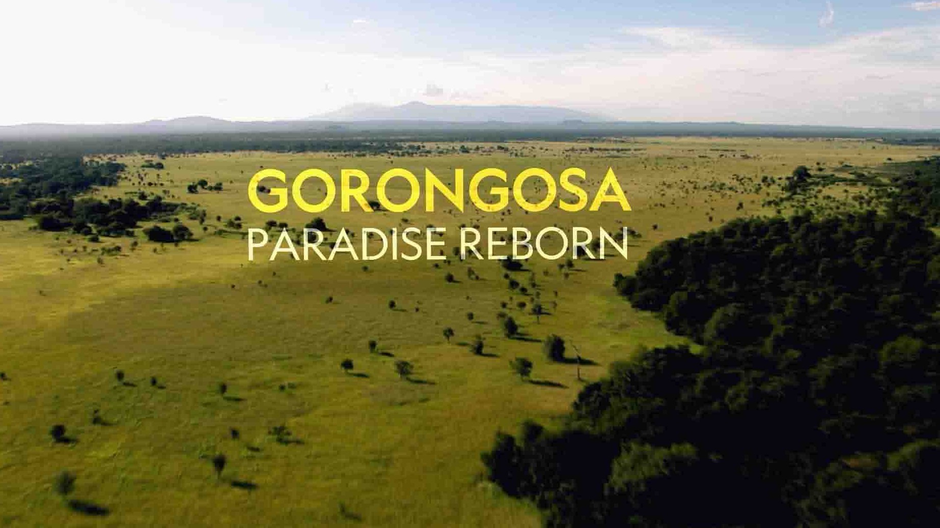 国家地理《戈龙戈萨：天堂重生/戈龙戈萨：重回天堂 Gorongosa: Paradise Reborn 2022》全1集 英语中英双字 1080P高清网盘下载