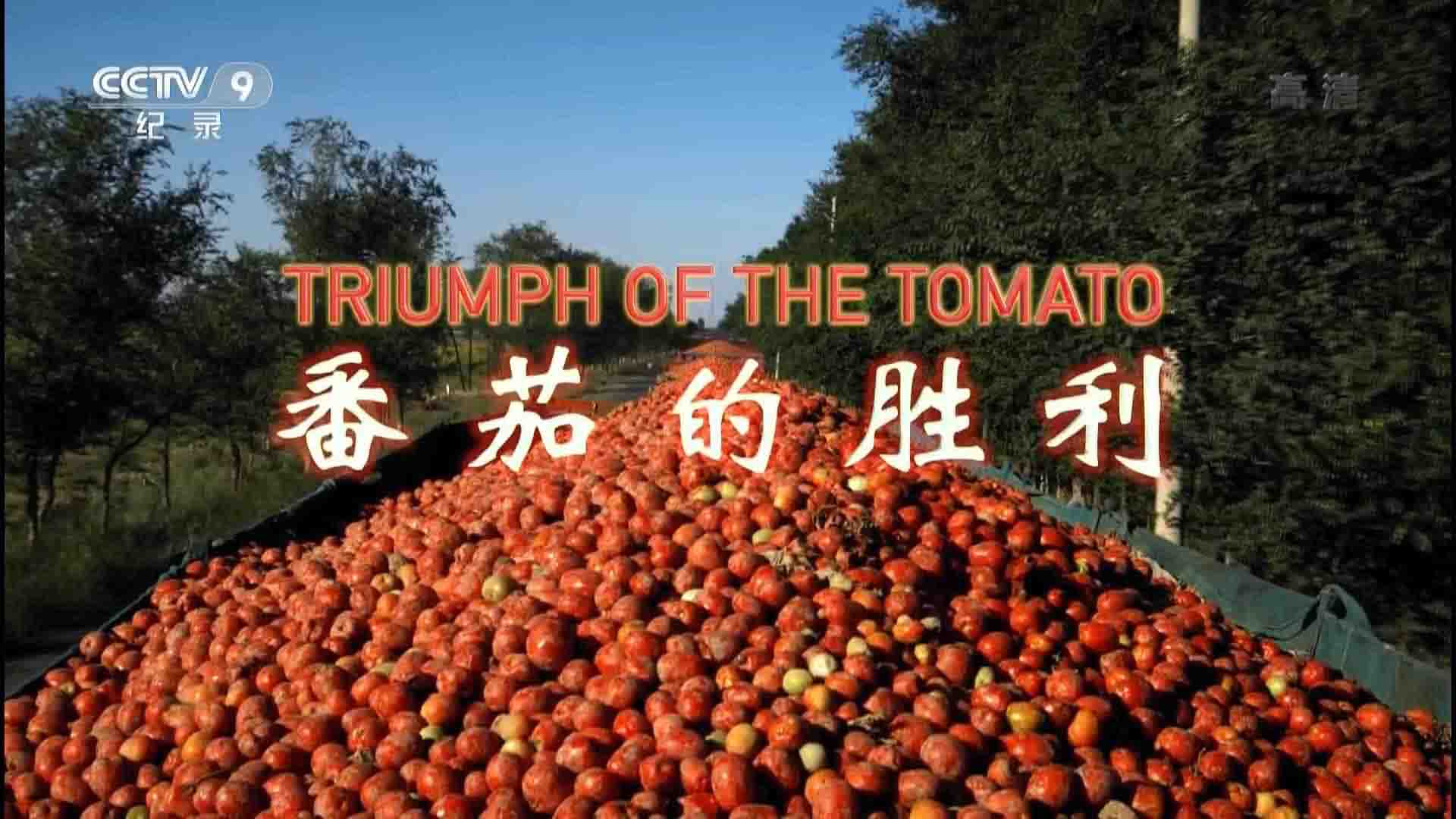 央视纪录片《番茄的胜利 Triumph of the Tomato》全集 国语中字 1080P高清网盘下载