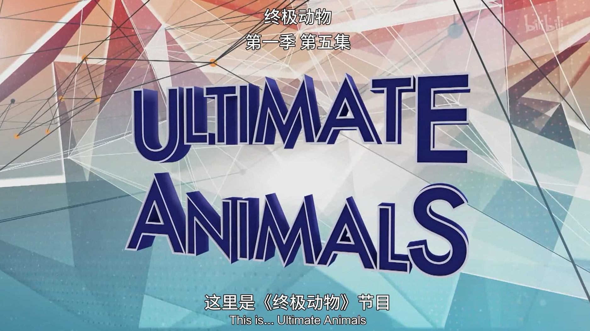 国家地理《终极动物 Ultimate Animals 2015》第1季全6集 英语中英双字 1080P高清网盘下载