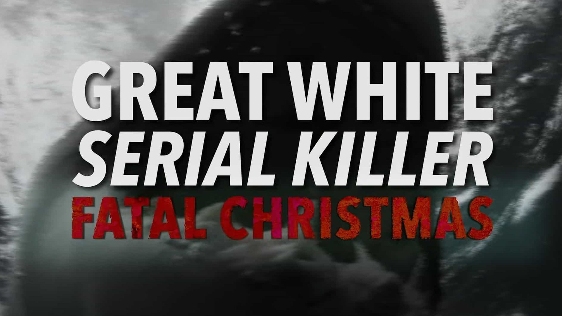探索频道《白色连环杀手：致命圣诞节 Great White Serial Killer: Fatal Christmas 2022》全1集 英语中英双字 1080P高清网盘下载