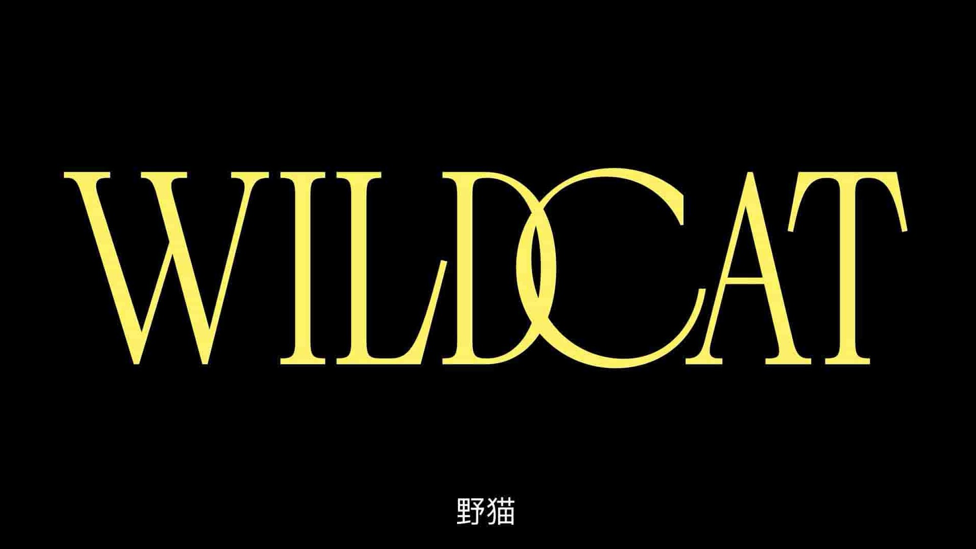 美国纪录片《野猫 Wildcat 2022》全1集 英语中英双字 1080P高清网盘下载