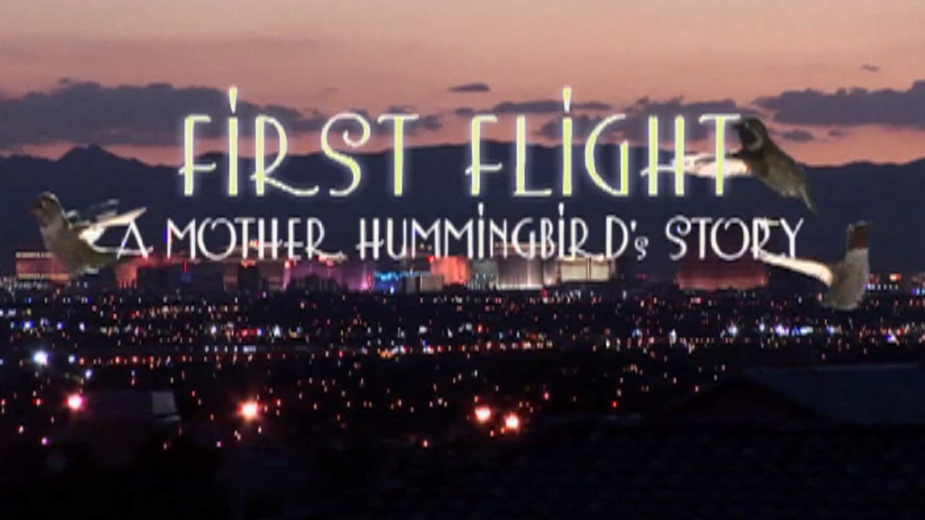 美国纪录片《第一次飞行：蜂鸟妈妈的故事 First Flight: A Mother Hummingbird