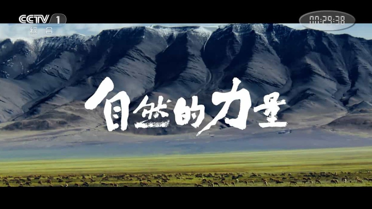 央视纪录片《自然的力量 Forces of Nature》全6集 国语中字 1080P高清网盘下载 