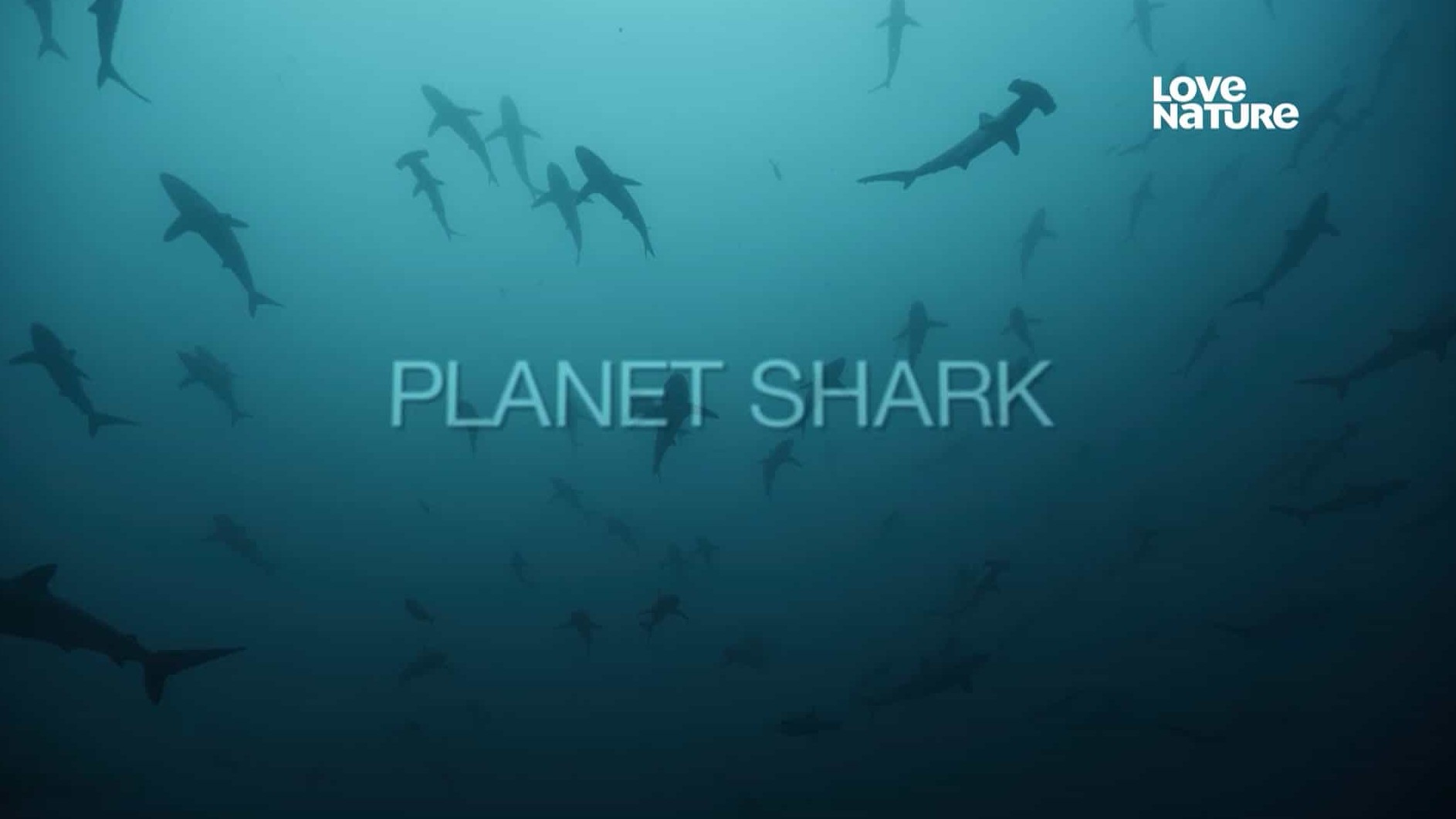 国家地理《鲨鱼星球 Planet Shark 2022》全3集 英语无字 1080P高清网盘下载