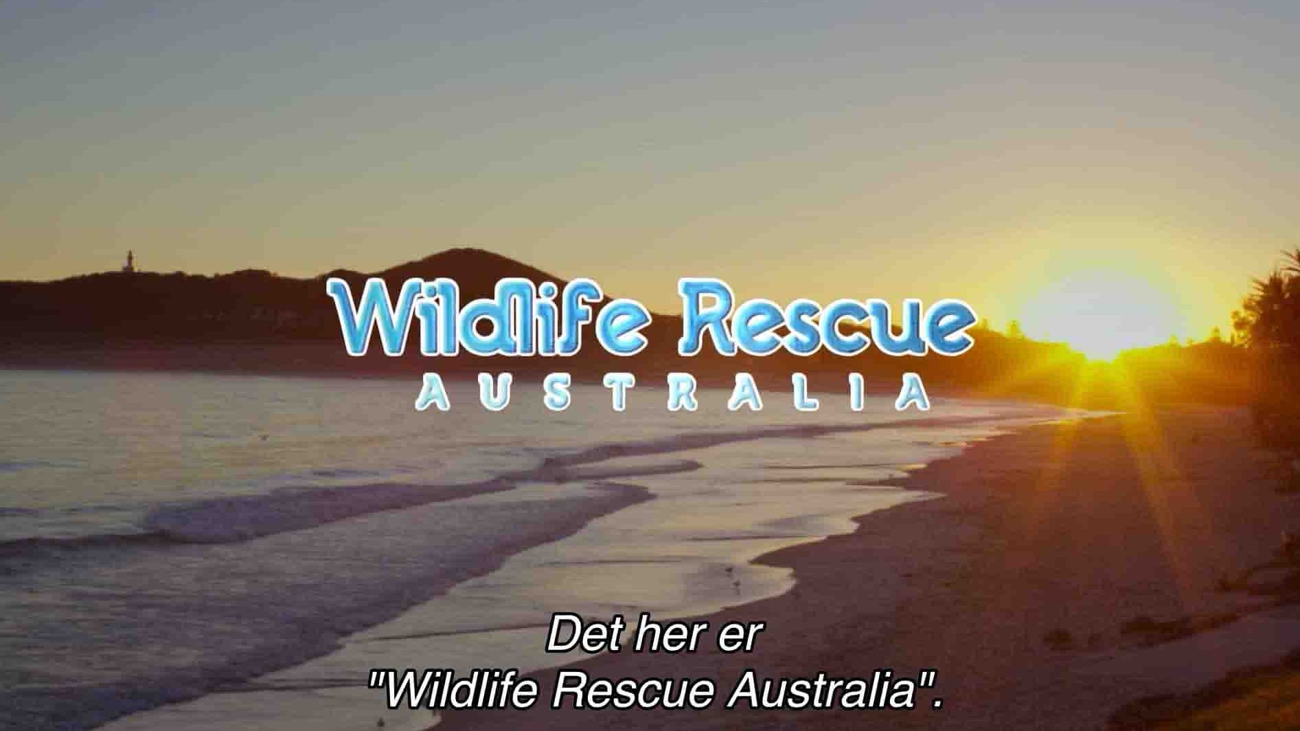 澳大利亚纪录片《澳大利亚野生动物救援 Wildlife Rescue Australia 2022》全10集 英语中字 1080P高清网盘下载 