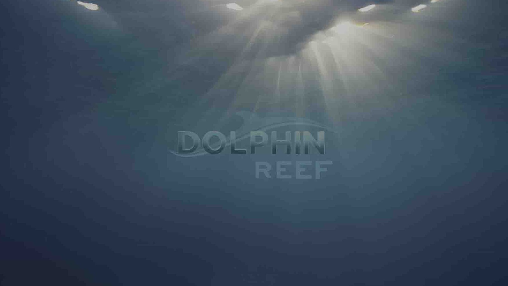 迪士尼纪录片《海豚礁 Dolphin Reef 2020》全1集 英语中字 4K超高清网盘下载