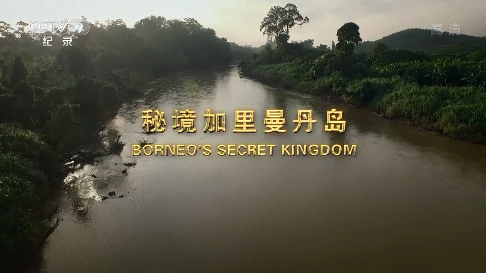 央视纪录片《秘境加里曼丹岛 Borneos Secret Kingdom》全3集 国语中字 1080P高清网盘下载