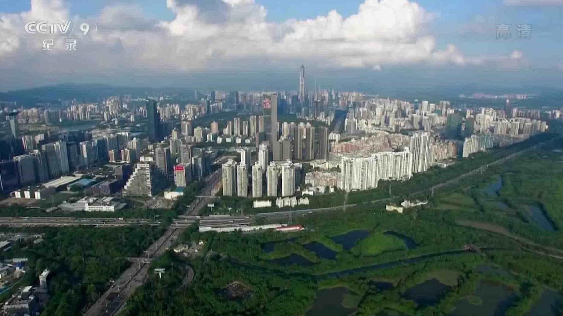 央视纪录片《野性深圳 wild shenzhen》全5集 国语中字 1080P高清网盘下载 