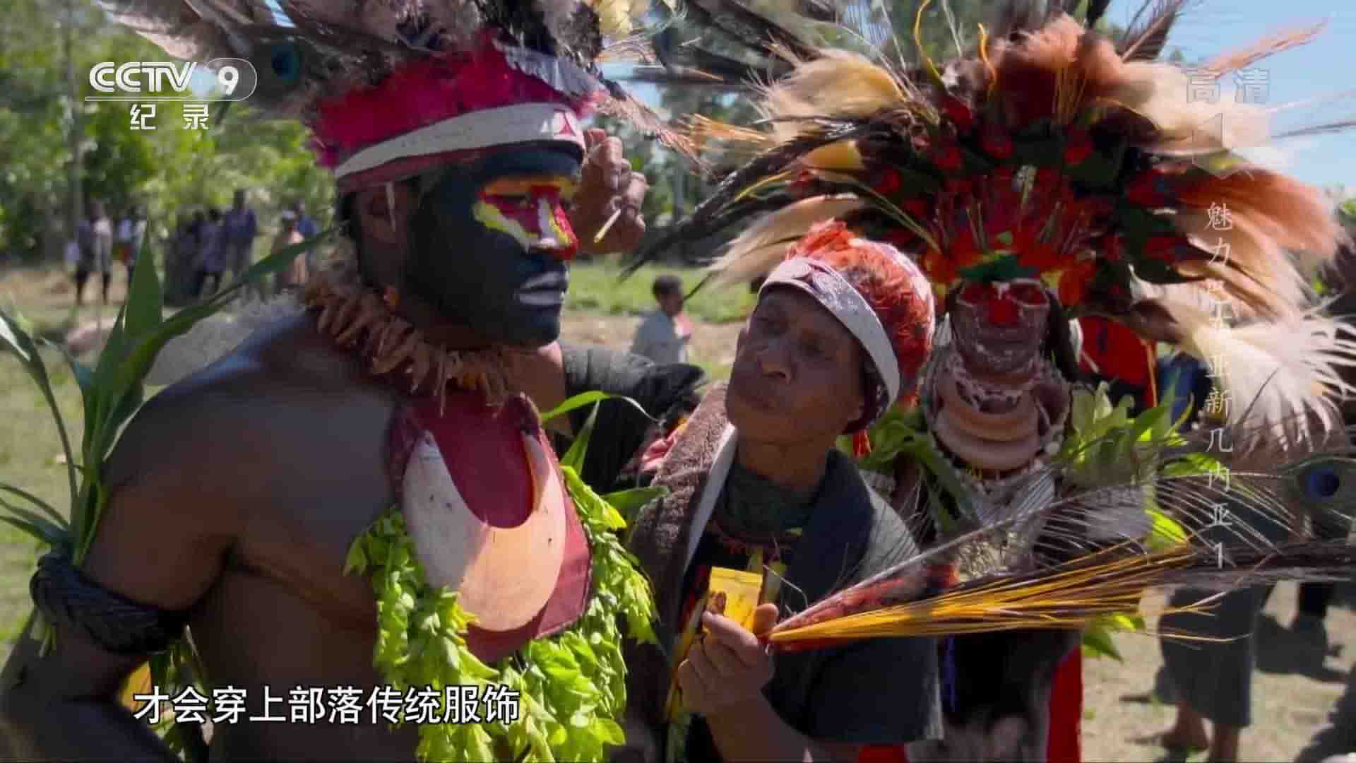 央视纪录片《魅力巴布亚新几内亚 Pupua New Guinea 2018》全2集 国语中字 1080P高清网盘下载