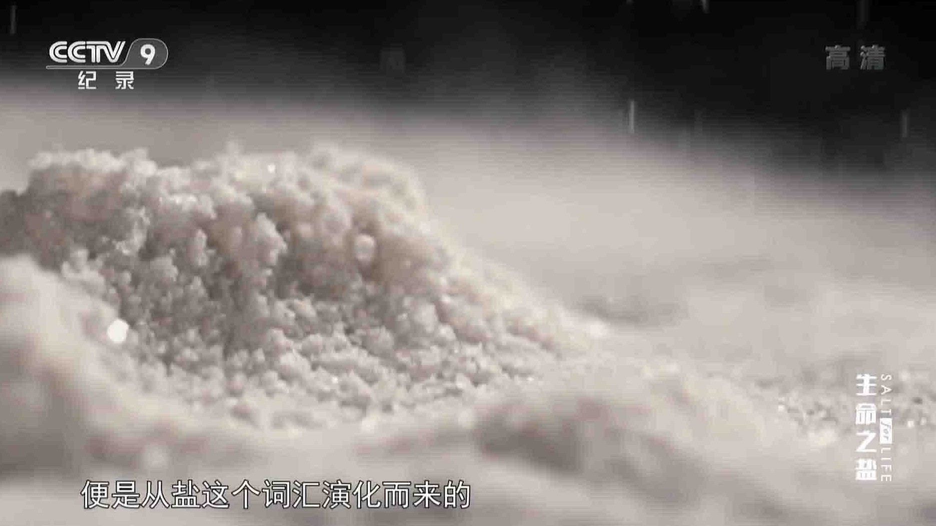 央视纪录片《生命之盐 Salt for Life》全6集 国语中字 1080P高清网盘下载