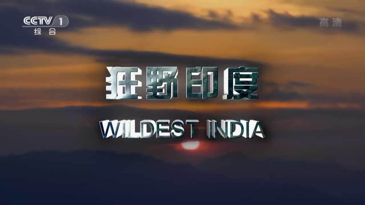 央视纪录片《印度野生大地/狂野印度 Wildest India》全4集 国语中字 720P高清网盘下载