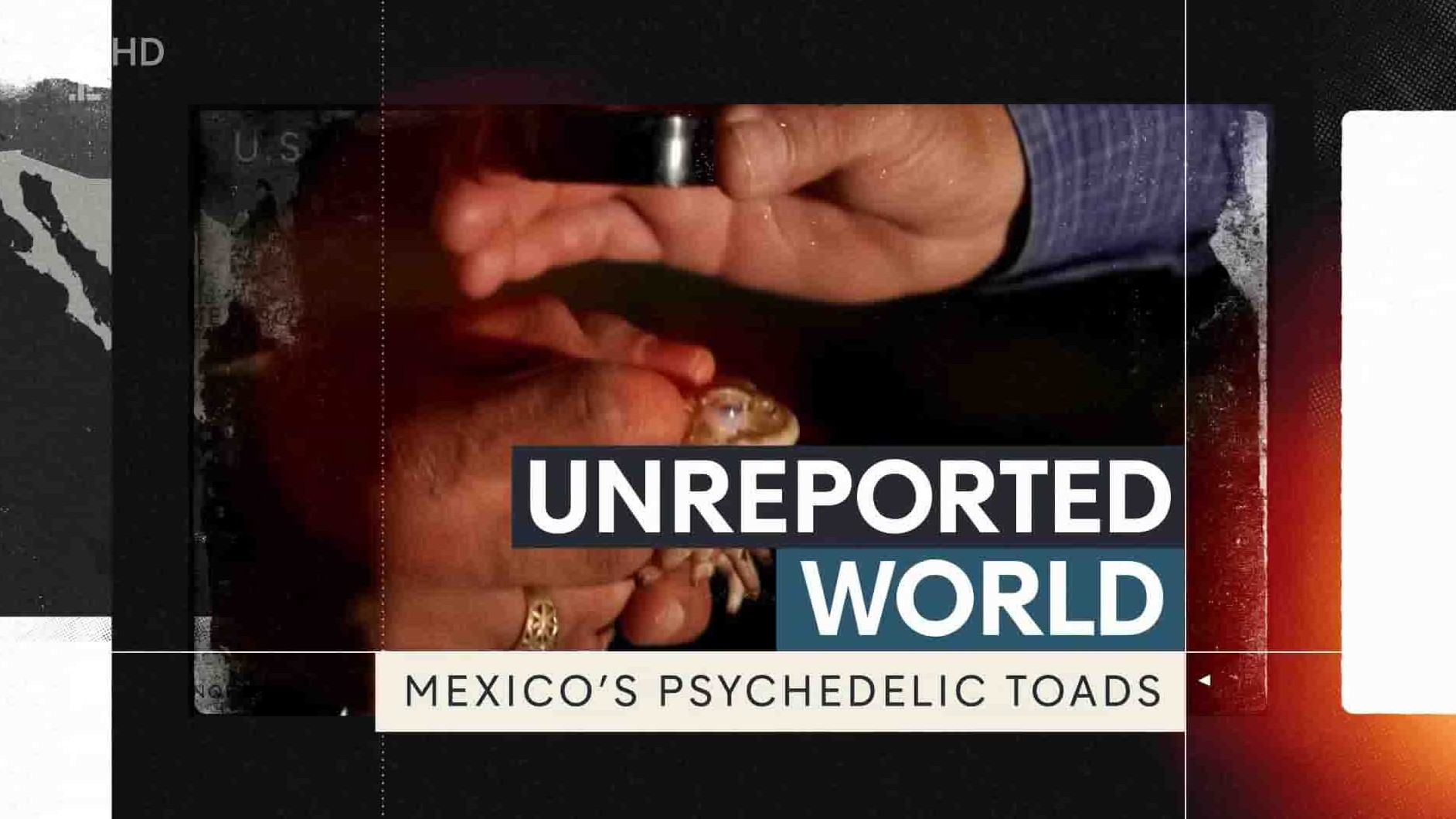 CH4纪录片《墨西哥的迷幻蟾蜍 Mexico