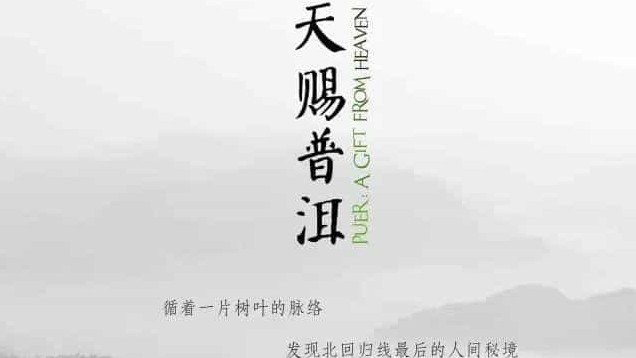 普洱茶纪录片《天赐普洱 2015》全4集 国语中字 1080P高清网盘下载