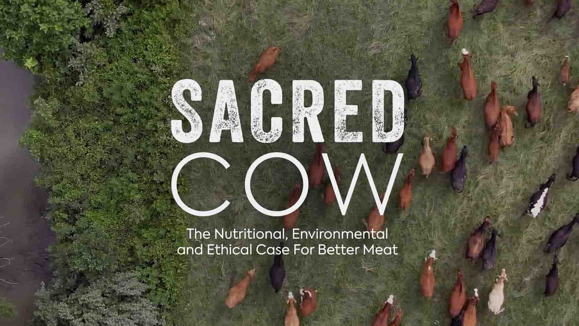 美国纪录片《神圣的牛 Sacred Cow 2020》全1集 英语中英双字 1080P高清网盘下载