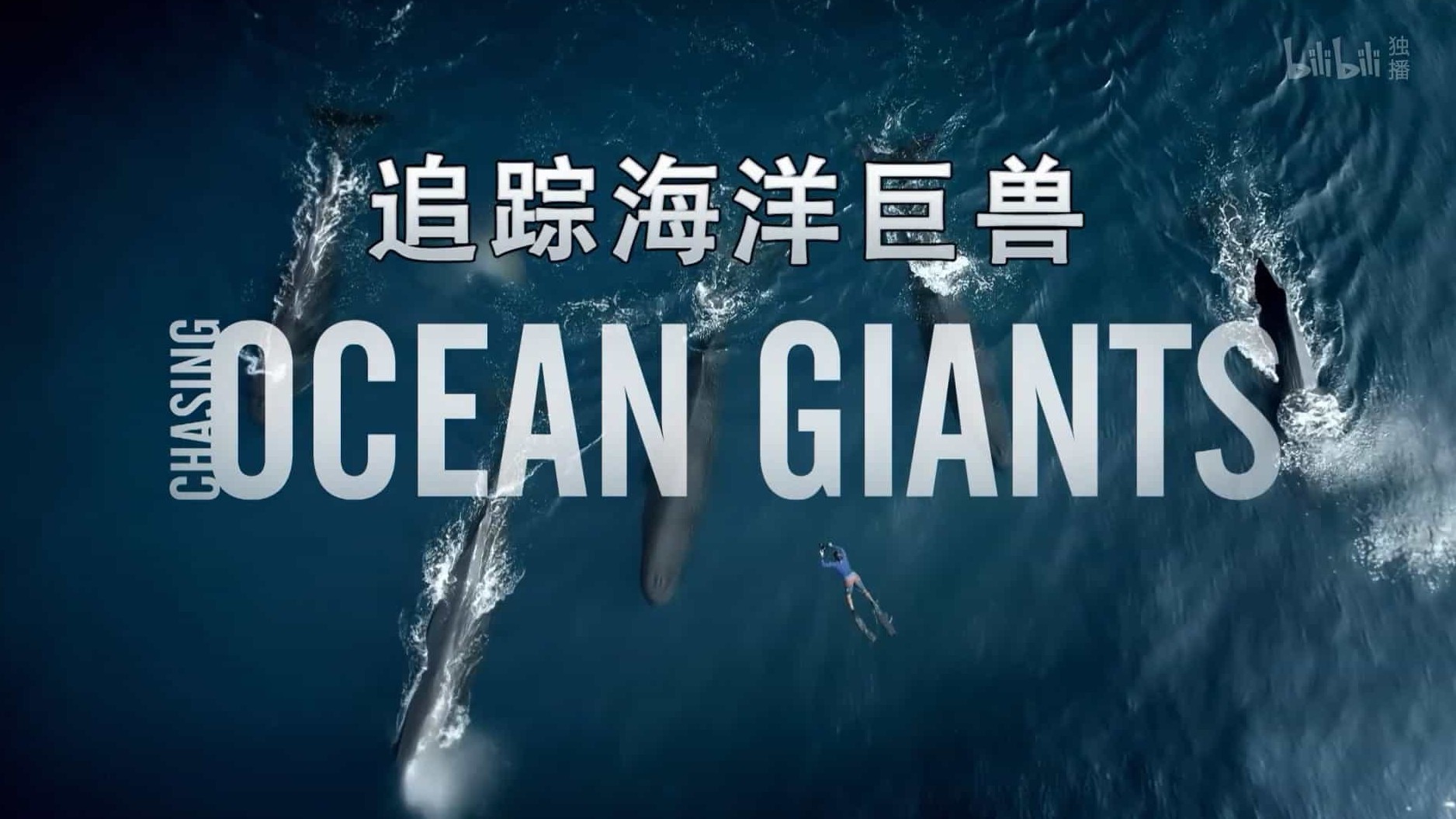 探索频道《追踪海洋巨兽 Chasing Ocean Giants 2021》全8集 英语中字 1080P高清网盘下载