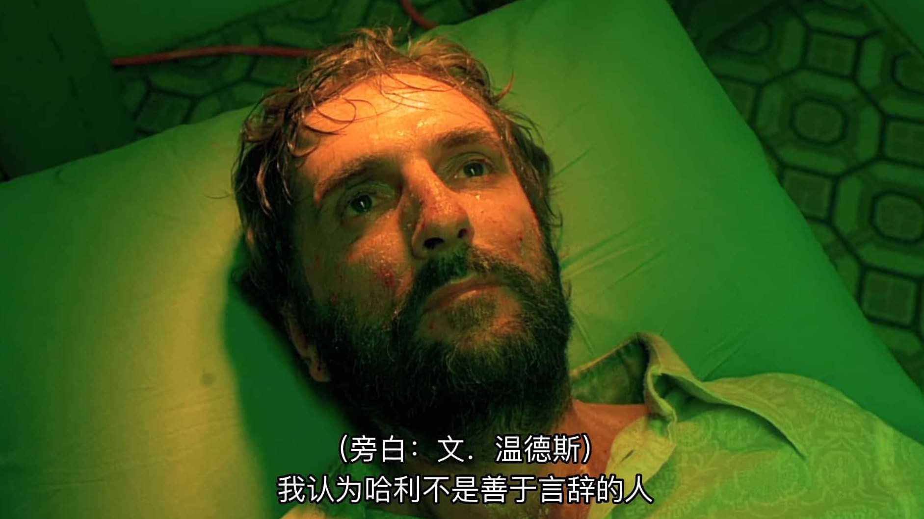 瑞士纪录片《哈利·戴恩·斯坦顿: 部分虚构 Harry Dean Stanton: Partly Fiction 2012》全1集 英语中英双字 1080P高清网盘下载