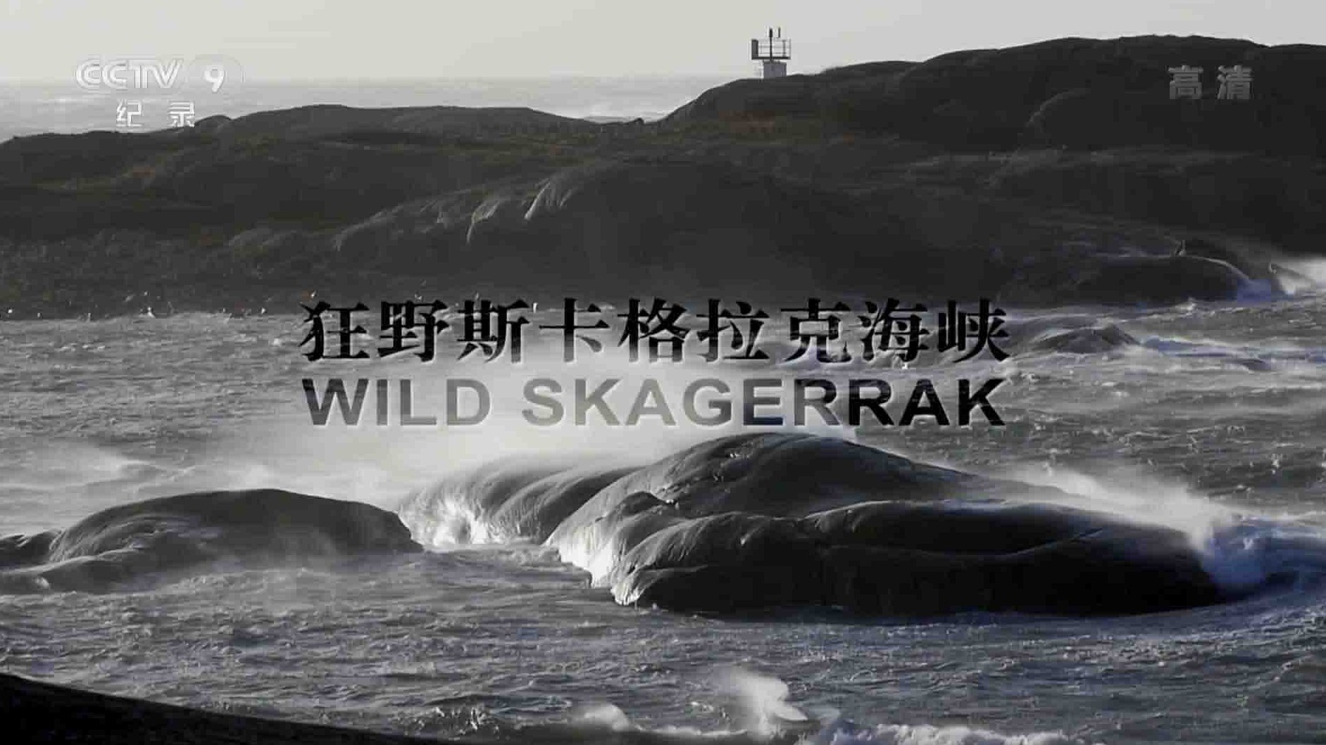  央视纪录片《狂野斯卡格拉克海峡/野性北欧海峡 Wild Skagerrak 2018》全1集 国语中字 1080P高清网盘下载