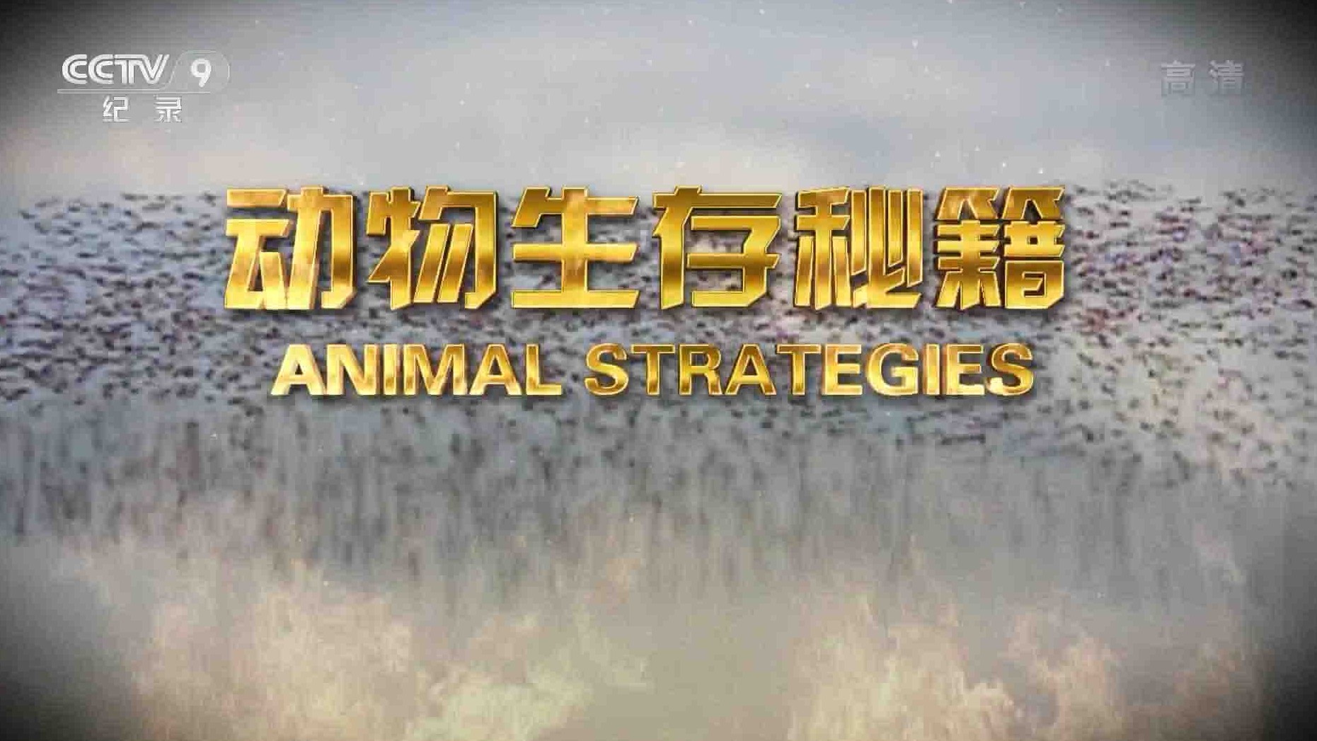  央视纪录片《动物生存秘籍 Animal Strategies》全6集 国语中字 1080P高清网盘下载