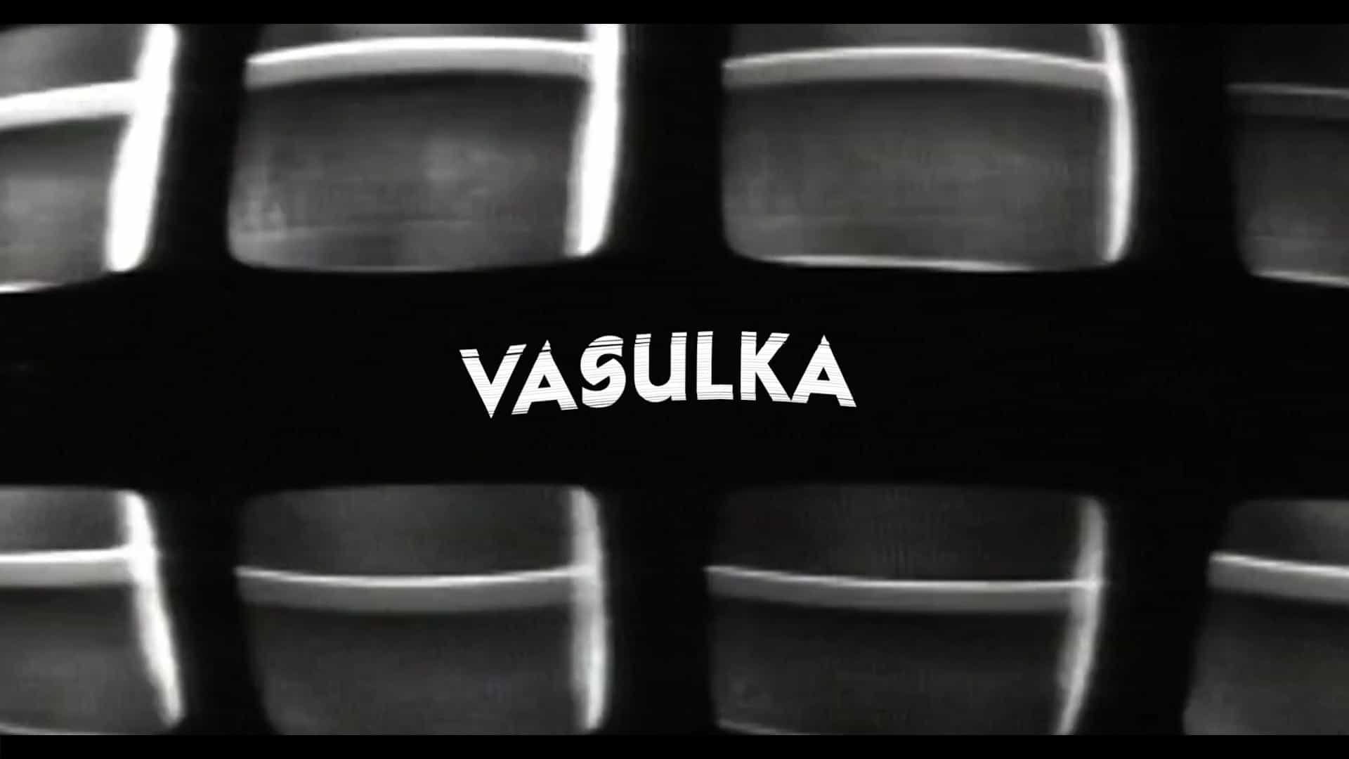 爱尔兰纪录片《瓦苏卡效应 The Vasulka Effect 2019》全1集 英语中英双字 1080P高清网盘下载