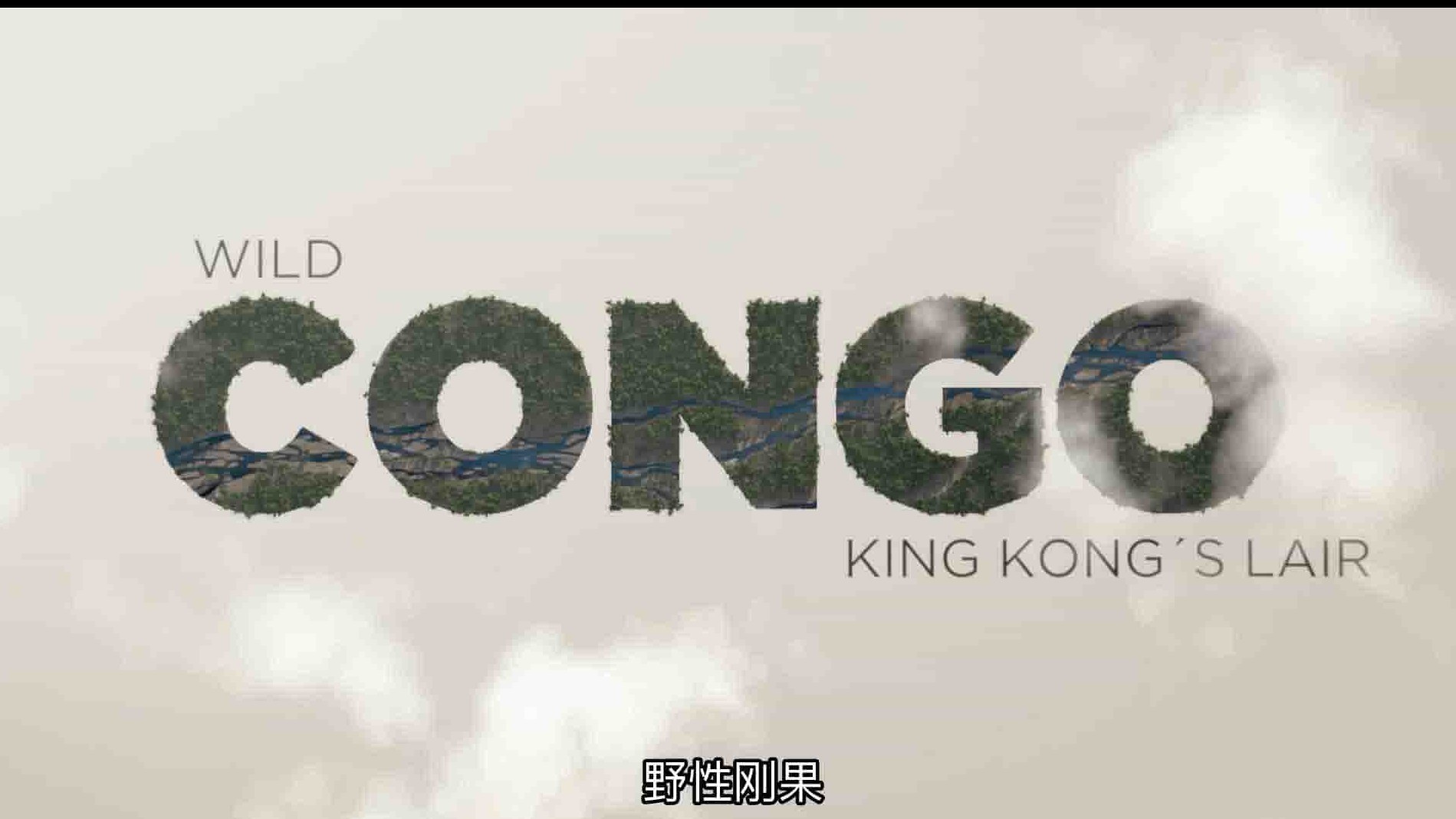 国家地理《野性刚果 Wild Congo》全2集 英语中字 1080P高清网盘下载