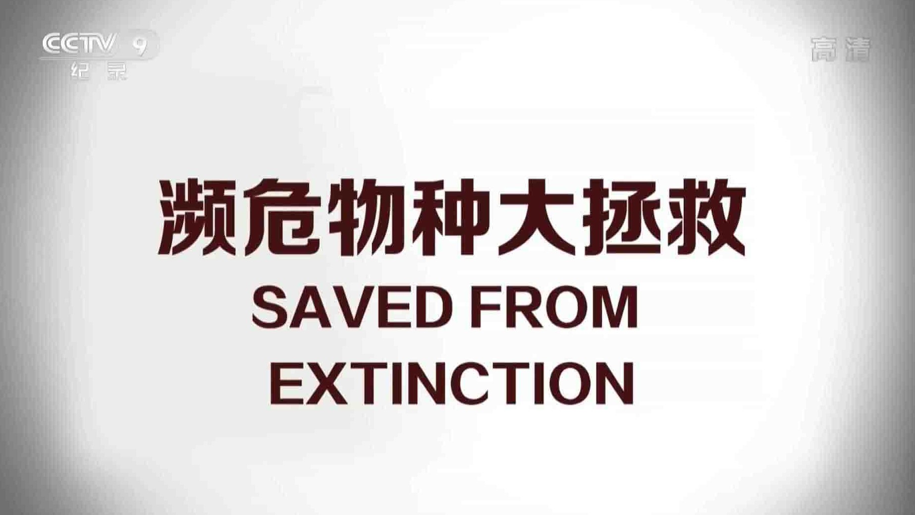 央视纪录片《濒危物种大拯救 Saved from Extinction 2015》全6集 国语中字 1080P高清网盘下载