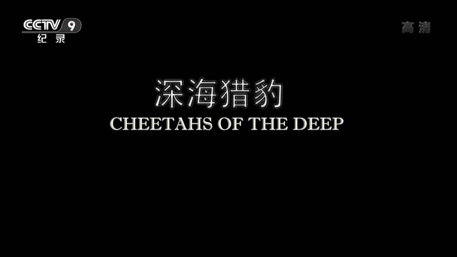 央视纪录片《深海猎豹 Cheetahs of the Deep 2014》全1集 国语中字 1080P高清网盘下载