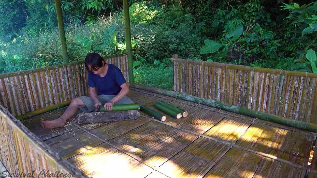 热带雨林求生系列《原始技术：挑战丛林生存6个月 Primitive Technology – The 6 Month Survival Challenge in the Jungle 2020》全30集 无对白无字 720P高清网盘下载