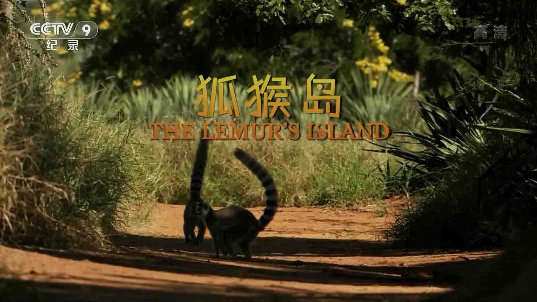 IMAX纪录片《狐猴岛 the Lemur’s Island 2018》全1集 国语中字  1080i高清网盘下载