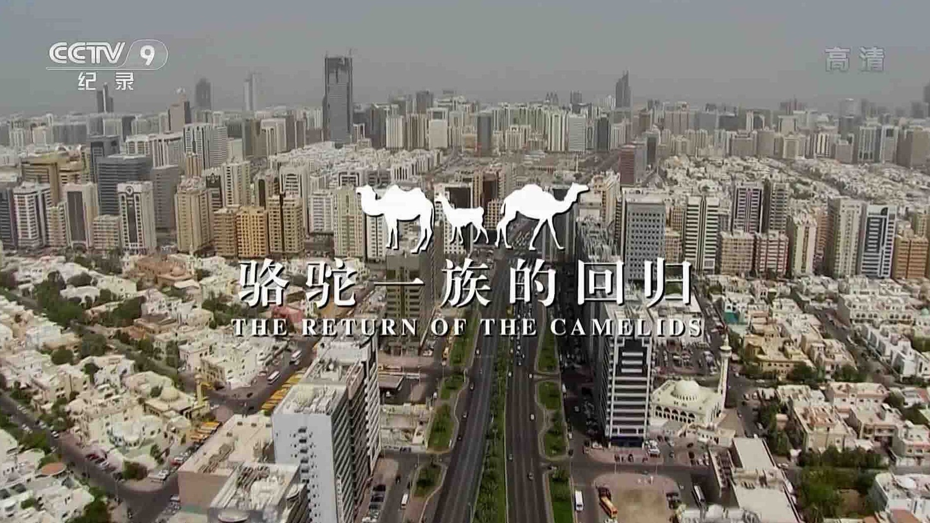 法国纪录片《骆驼一族的回归 The Return Of The Camelids 2018》全3集 国语中字 1080P高清网盘下载