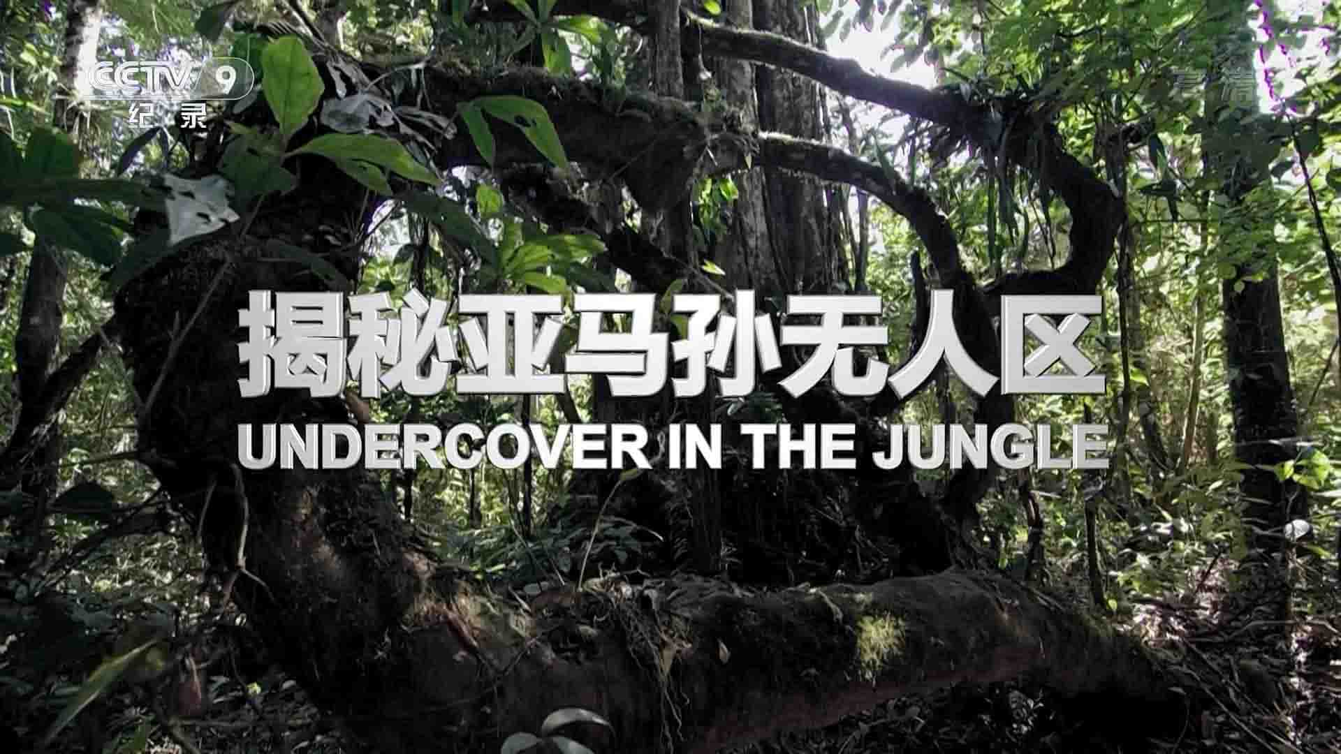 PBS纪录片《探秘亚马孙无人区 Undercover in the Jungle 2019》全1集 国语中字 1080P高清网盘下载