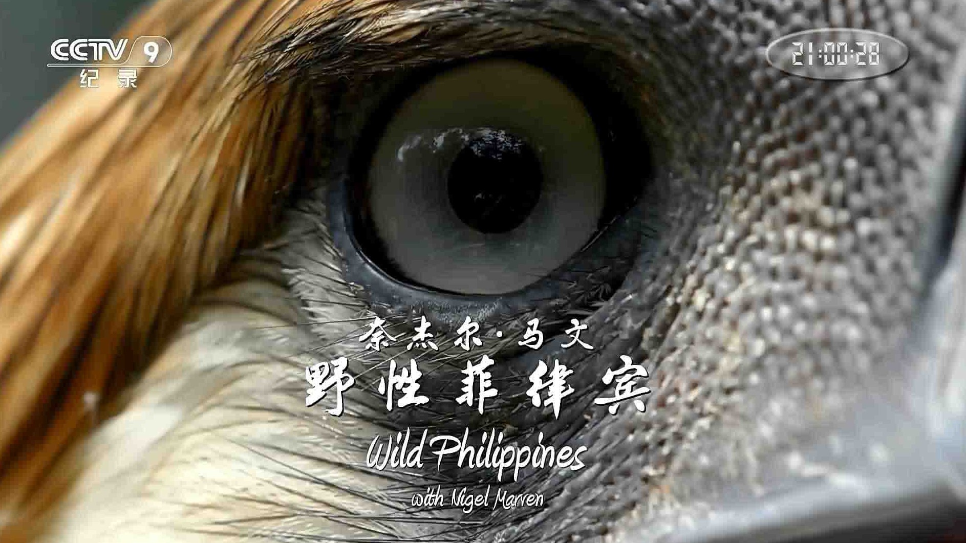 央视纪录片《奈杰尔·马文：野性菲律宾 Wild Philippines with Nigel Marven 2019》全3集 国语中字 1080i高清网盘下载