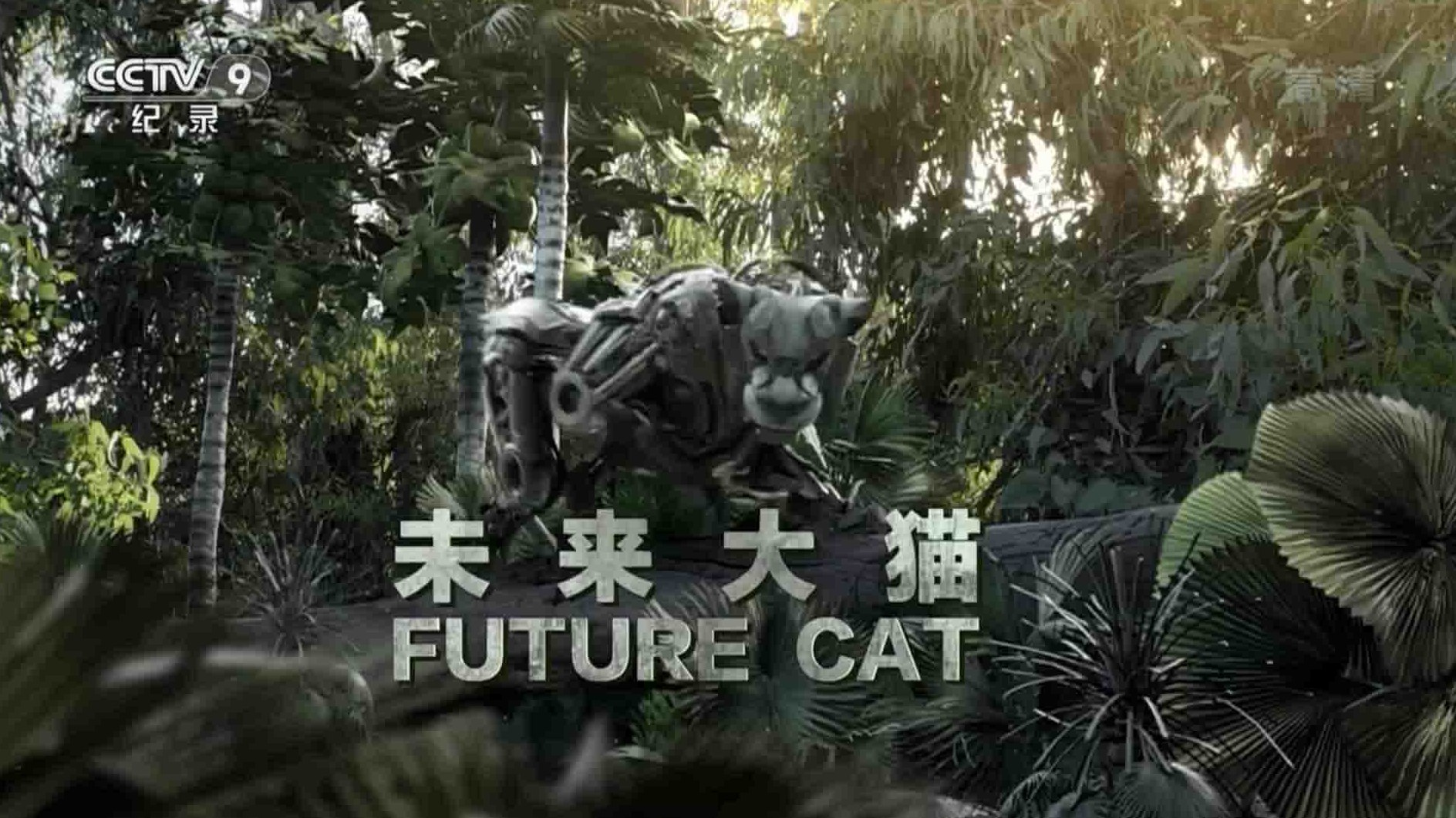 央视纪录片《未来大猫 Future Cat 2014》全1集 国语中字 1080i高清网盘下载