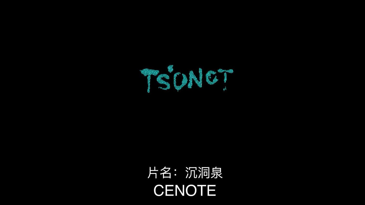 日本纪录片《沉洞泉 Cenote 2019》全1集 日语中字 1080P高清网盘下载