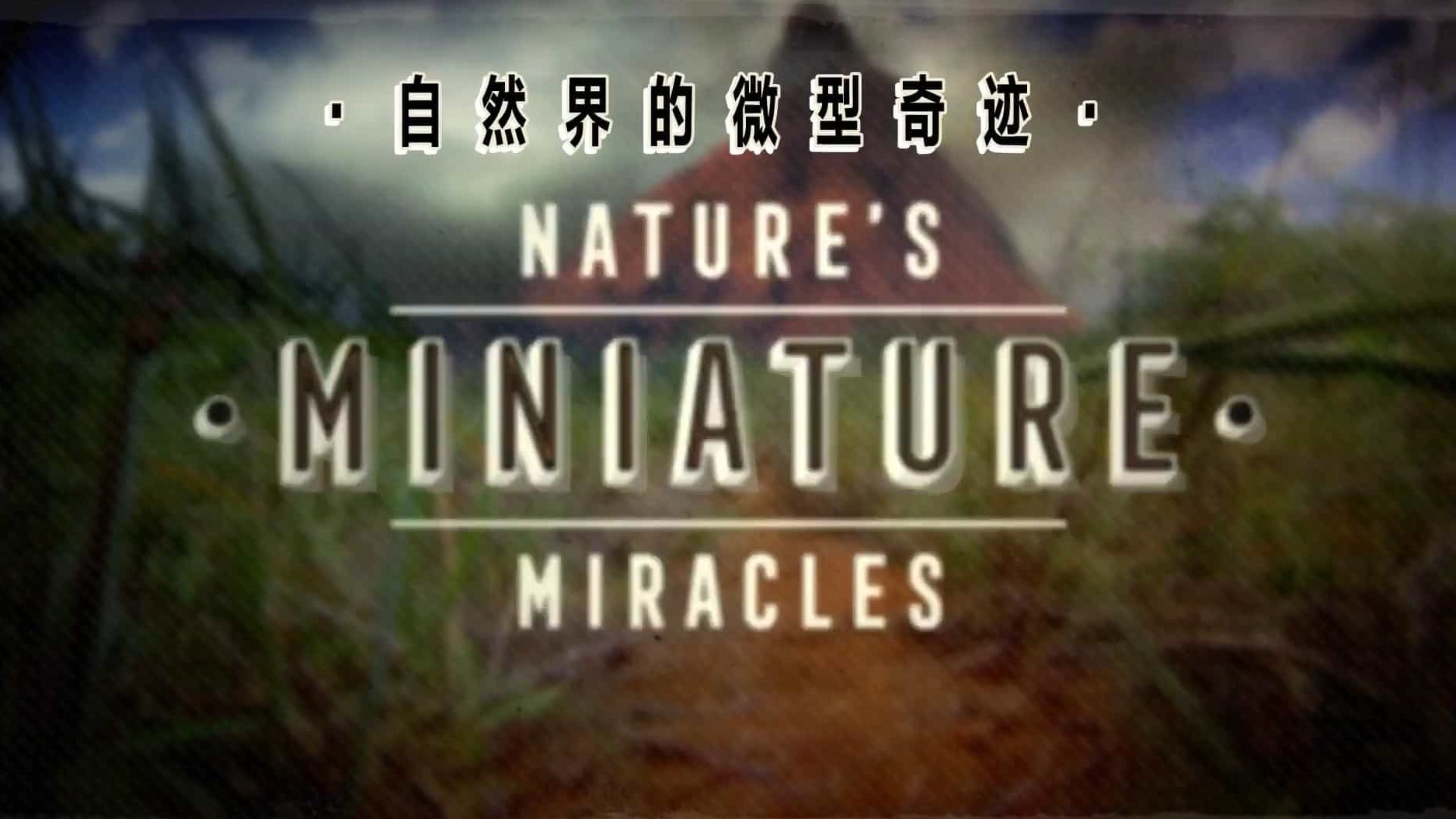 BBC纪录片《大自然：自然界的微型奇迹 Natural World:Nature