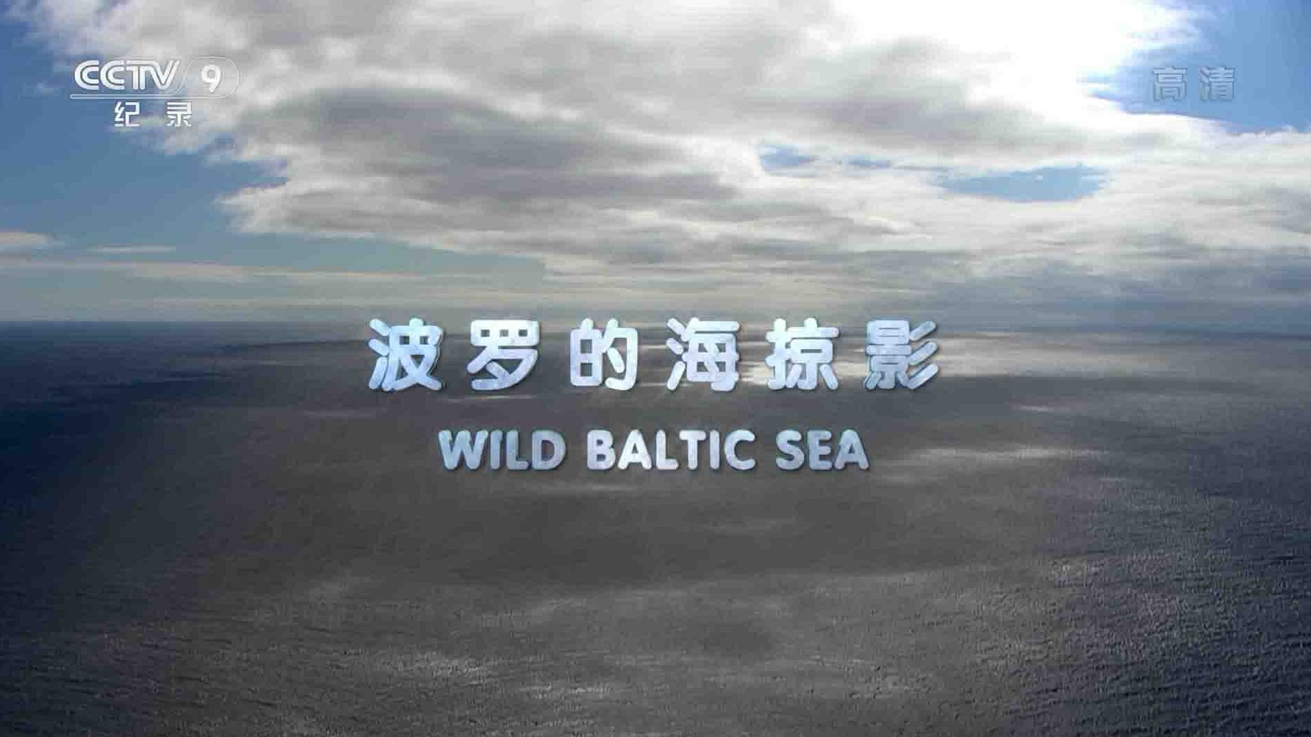 德国纪录片《波罗的海掠影 Wild Baltic Sea 2018》全3集 国语中字 1080i高清网盘下载