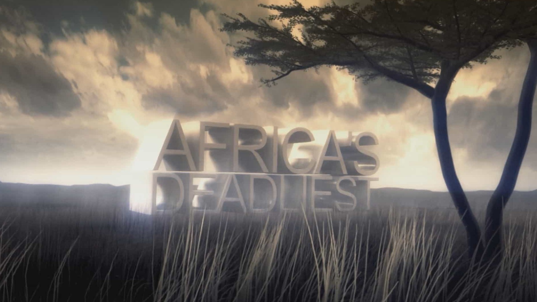 国家地理《非洲致命动物 Africas Deadliest》第1-7季全24集 英语中英双字1080P高清网盘下载