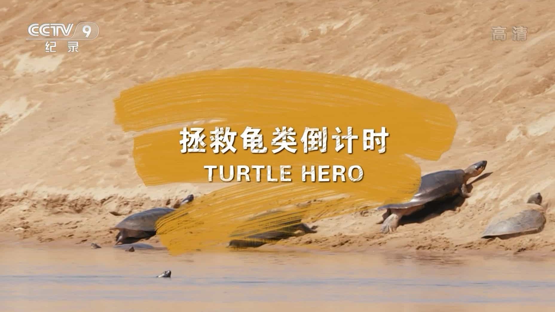 央视纪录片《拯救乌龟倒计时 Turtle Hero 2017》全1集 国语中字 1080i高清网盘下载