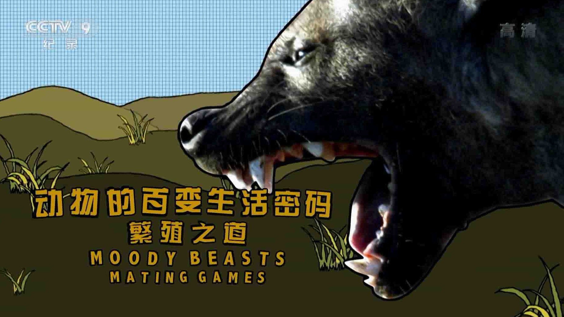 央视纪录片《动物的百变生活密码 Moody Beasts Mating Games 2014》全3集 国语中字 1080P高清网盘下载