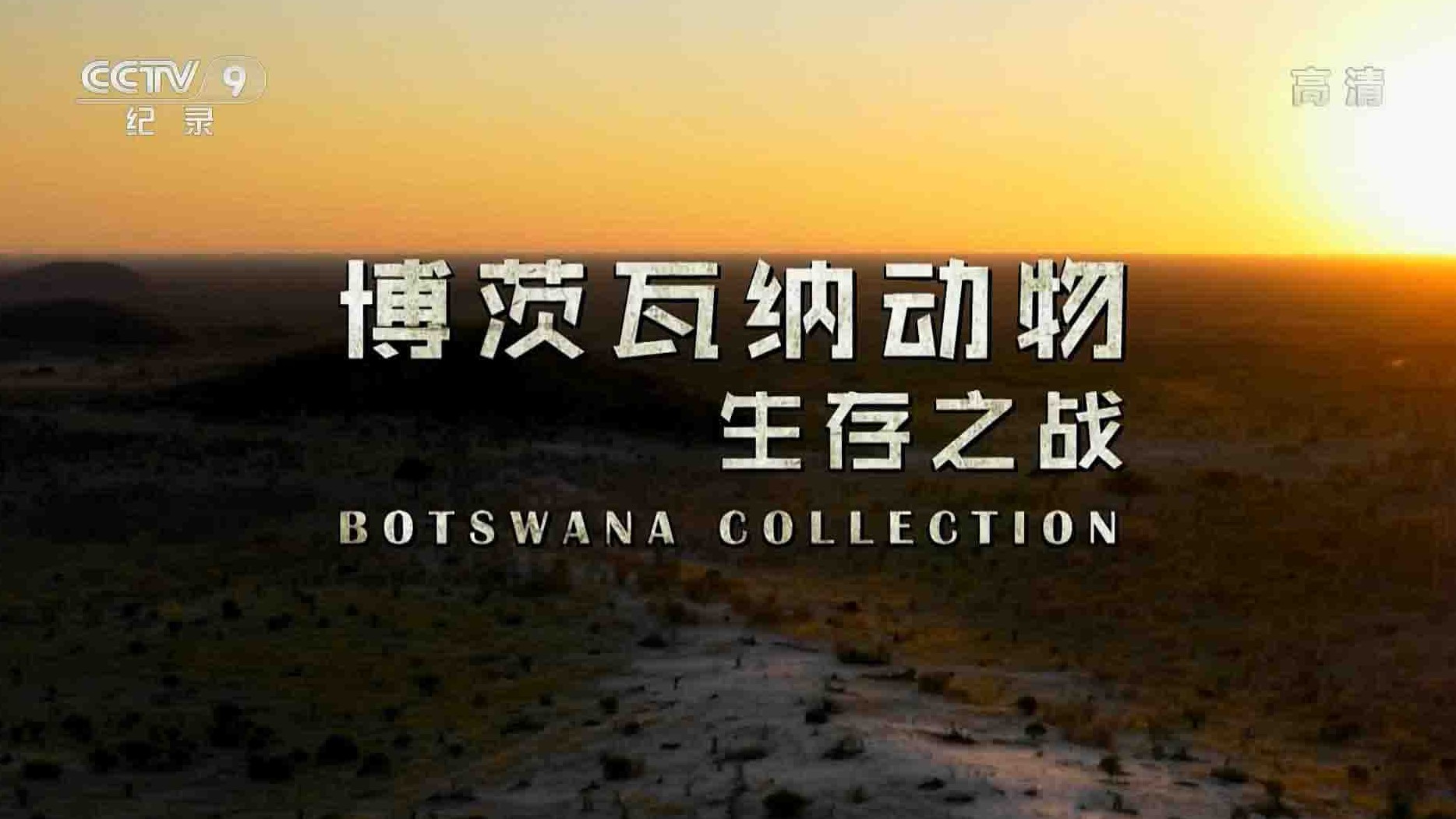 央视纪录片《博茨瓦纳动物生存之战 Botswana Collection 2018》全3集 国语中字 1080P高清网盘下载