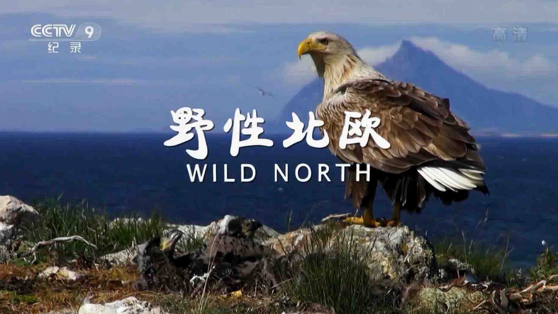 央视纪录片《野性北欧/北欧荒野 Wild North 2019》全3集 国语中字 1080P高清网盘下载