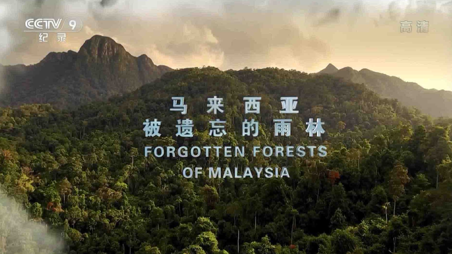 央视纪录片《马来西亚被遗忘的雨林 Forgotten Forests of Malaysia 2018》全1集 国语中字 1080i高清网盘下载