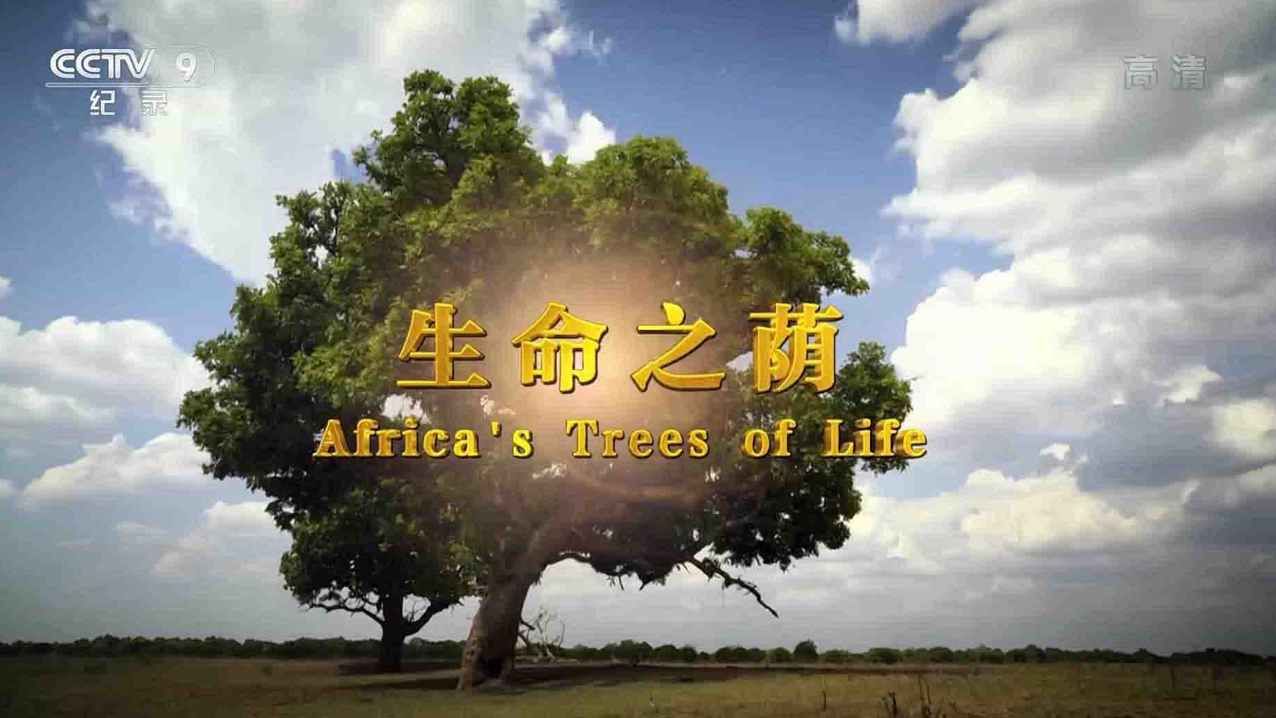 央视纪录片《生命之荫 Africa’s Tress of Life 2016》全2集 国语中字 1080i高清网盘下载