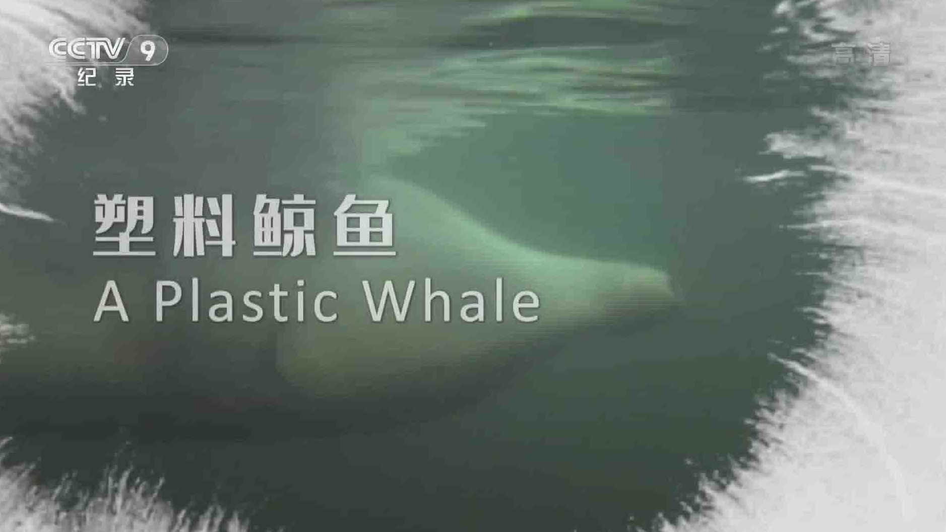 环保纪录片《塑料鲸鱼 A Plastic Whale 2017》全1集 国语中字 1080P高清网盘下载